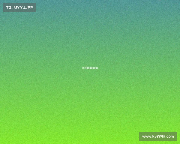 09年总决赛数据统计